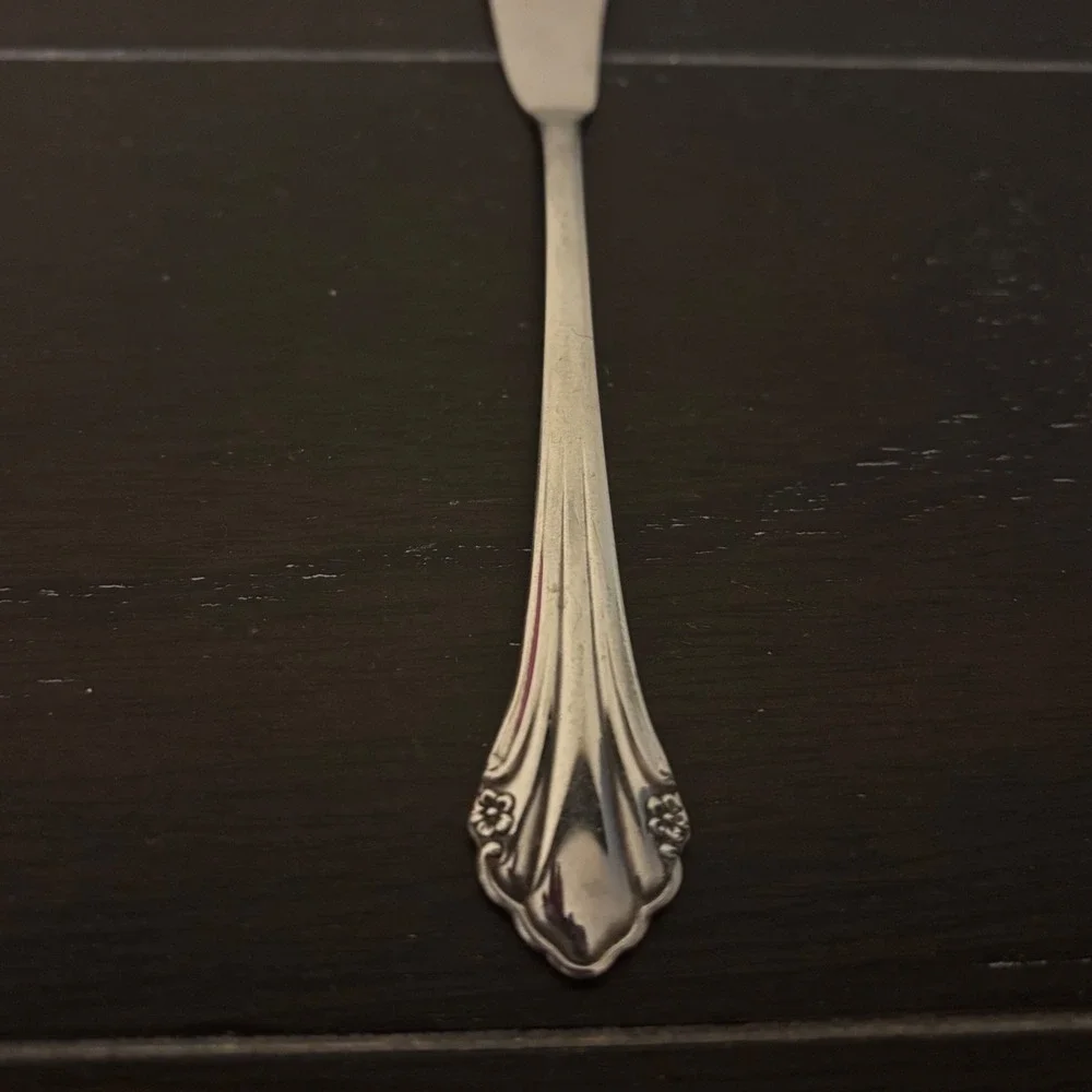 Oneida 1881 Rogers Stainless | Bittersweet Repose | Butter Knife | Floral 6.75